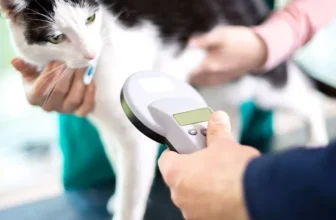 Using Smart Pet Devices to Track Your Pet’s Activity and Health
